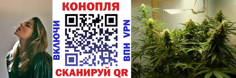 Конопля сатива  где найти наркотики  Первомайск 